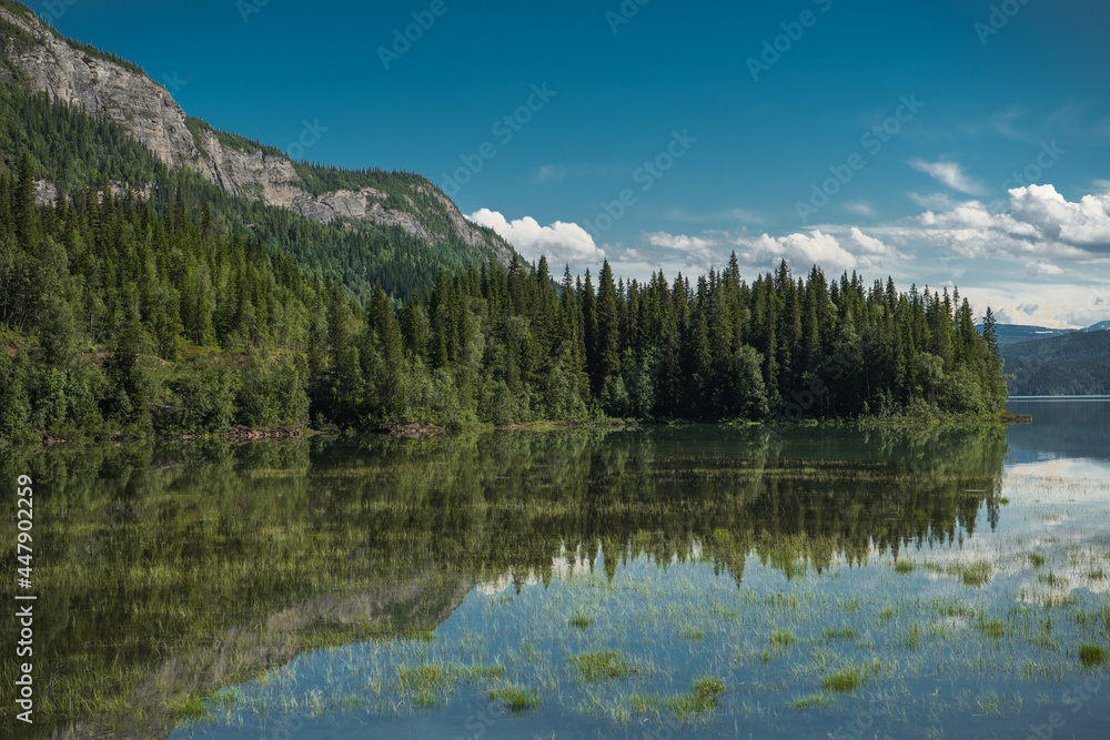 Scenic Lake Reflections Norwegian Nordland County Saltfjellet–Svartisen National Park