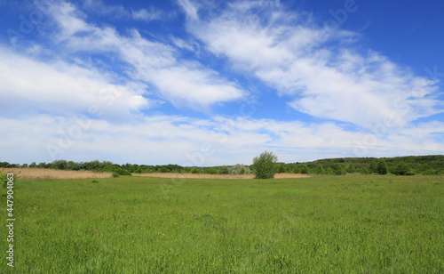  green pasture under nice clouds in blue sky © Pavlo Klymenko
