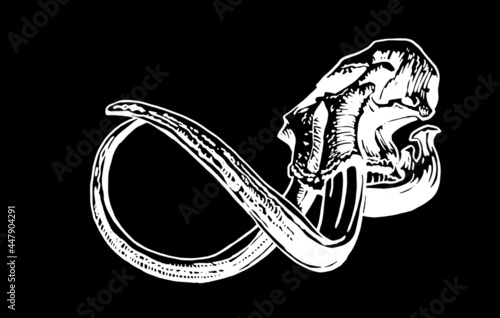 Graphical hand-drawn skull of mammoth isolated on black background, vector paleontological element