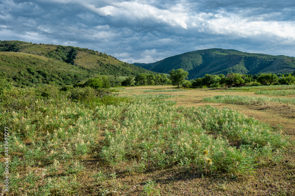 Fototapeta premium landscape with mountains