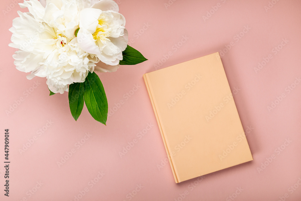 Empty Notebook for writing Dreams and Ideas, with different Stat Empty Notebook for writing Dreams and Ideas, with different Stat
