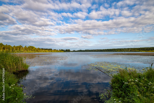 Evening View of Lake Michurinskoye