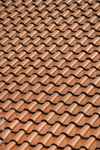 Repetitive pattern of orange roof tile  (ID: 447913292)