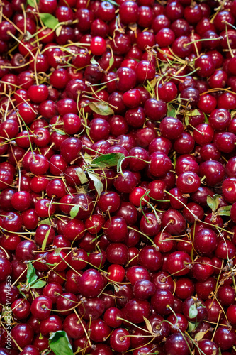 Full frame close-up of fresh red currants