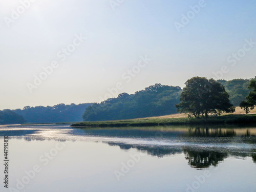 Fototapeta Naklejka Na Ścianę i Meble -  reflections in the River Hamble Hampshire England in the early morning on a summer day