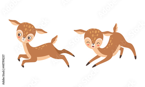 Cute Baby Deer with Spots as Adorable Hoofed Mammal Living in Forest Vector Set