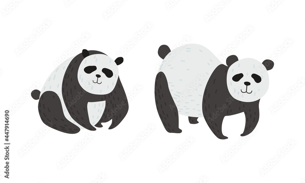 Fototapeta premium Panda Bear with Black-and-white Coat and Rotund Body Vector Set