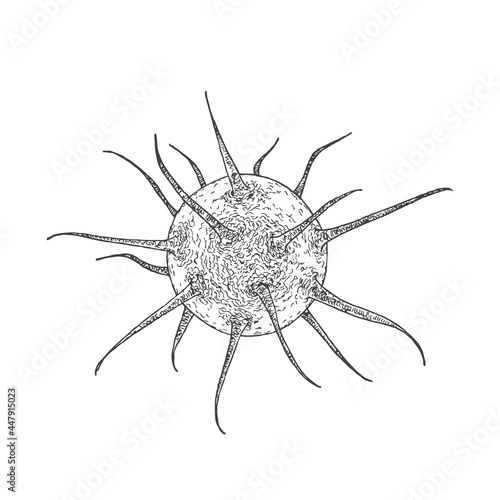 Hand Drawn Virus Vector Illustration. Bacteria Doodle Sketch. Isolated