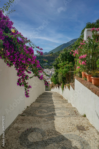 view of a street in Frigiliana  pueblo blanco  typical spanish village architecture in southern part of the country