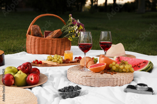 Delicious food and wine served for summer picnic on plaid in park