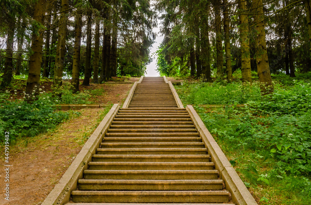 A long stone staircase leading up to the park. A long stone staircase leading up to the park.