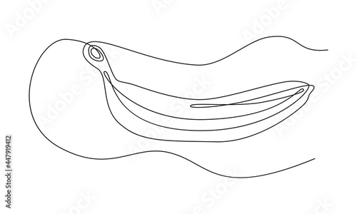 Банан одна линия. Banana one line. Vector drawing. Continuous line style.