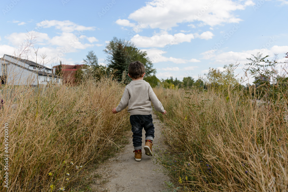 Child walking on a path among tall grass