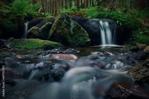 Fototapeta Naklejka Na Ścianę i Meble -  A view to the cascades of wild stream in deep forest at Sumava, Czech republic