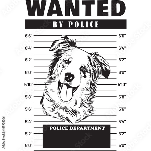 Mugshot of Australian Shepherd Dog holding banner behind bars
