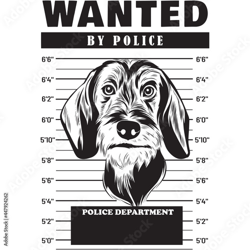 Mugshot of Wire Haired Dachshund Dog holding banner behind bars
