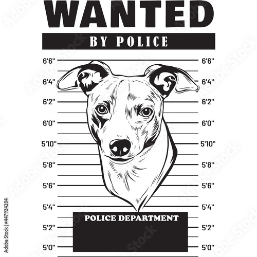 Mugshot of Italian Greyhound Dog holding banner behind bars
