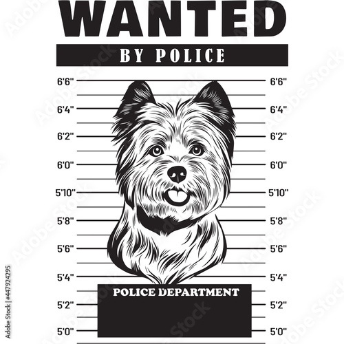 Mugshot of Cairn Terrier Dog holding banner behind bars
