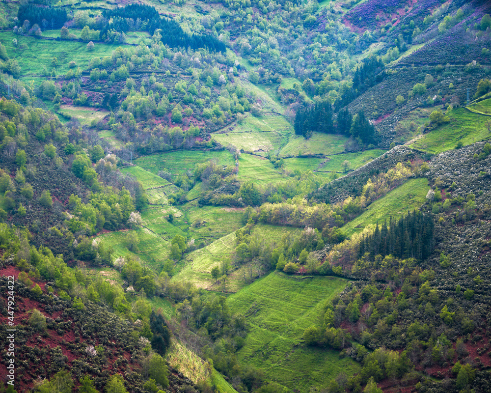 The zigzagging basin of a valley covered with grasslands