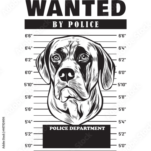 Mugshot of English Mastiff  Dog holding banner behind bars
