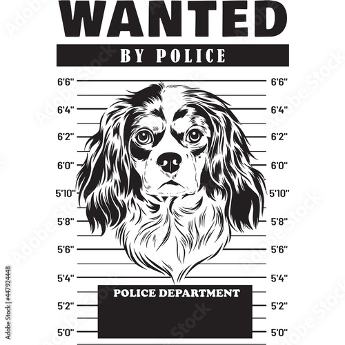 Mugshot of Cavalier King Charles Spaniel Dog holding banner behind bars
