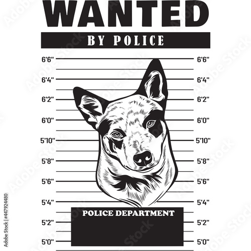 Mugshot of Australian Cattle Dog holding banner behind bars
