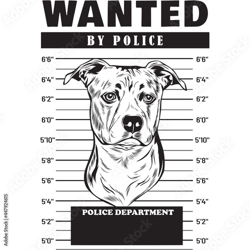 Mugshot of American Staffordshire Terrier Dog holding banner behind bars
