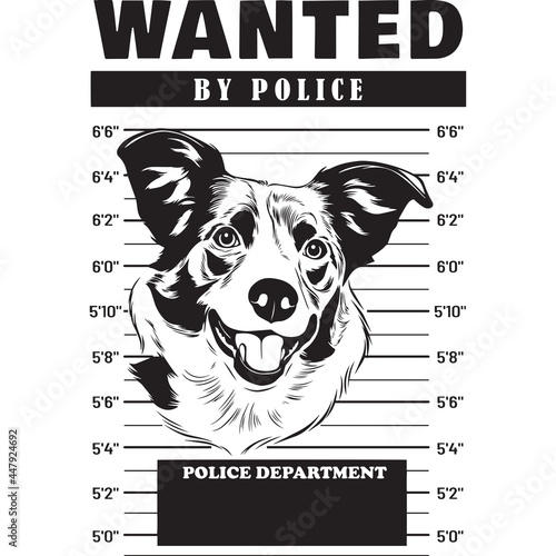 Mugshot of Border Collie Dog holding banner behind bars
