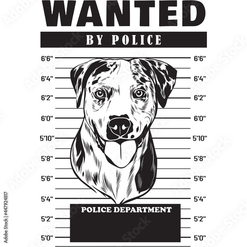 Mugshot of Catahoula Dog holding banner behind bars
