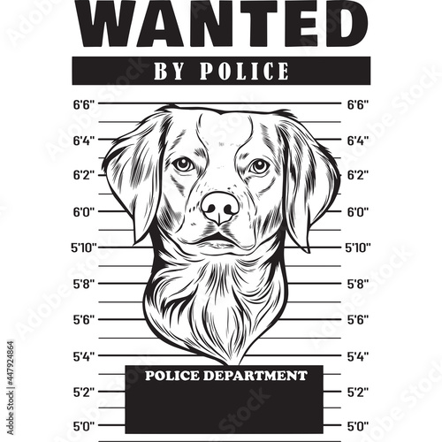 Mugshot of Brittany Spaniel Dog holding banner behind bars
