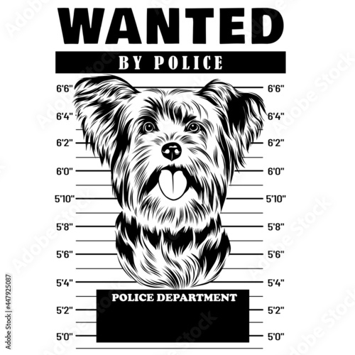 Mugshot of Yorkshire Terrier Dog holding banner behind bars

