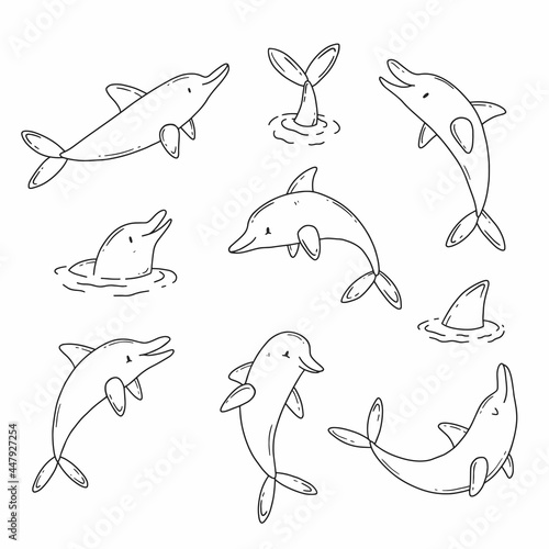 Set of black and white cute dolphins in simple doodle style. Vector illustration.