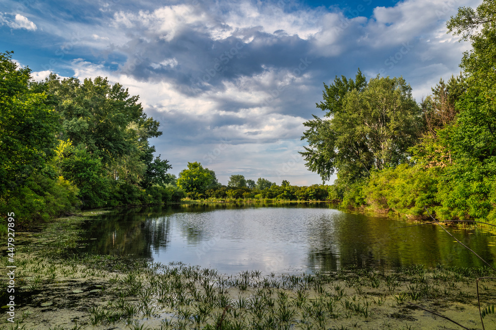 The river with the banks overgrown with forest. Hiking and water tourism. Beautiful nature. The river with the banks overgrown with forest. Hiking and water tourism. Beautiful nature.