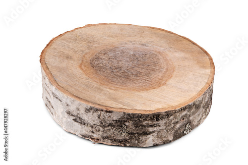 A large cut of birch, darkened in the center, covered with bark and lesions, isolated on a clean white background.