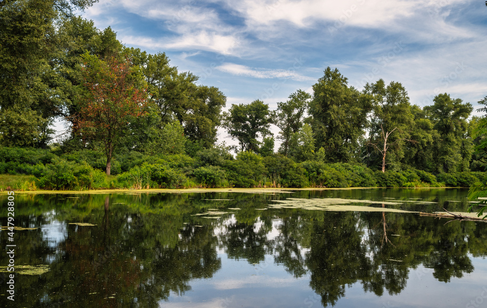 The river with the banks overgrown with forest. Hiking and water tourism. Beautiful nature.