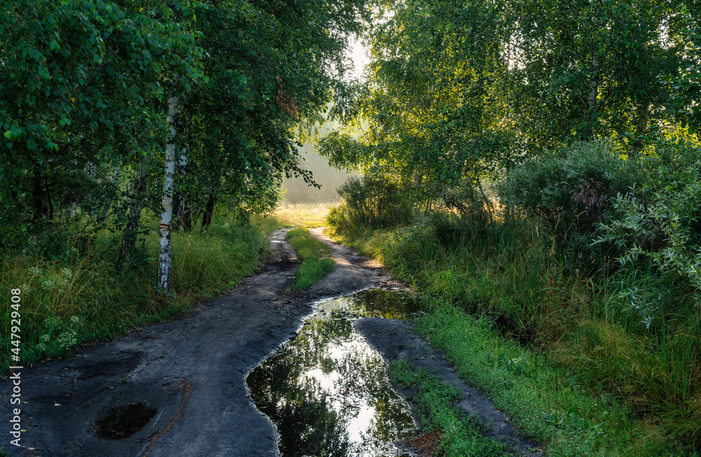 Fototapeta premium Large puddles after rain. Trees are reflected in the water. Hiking.
