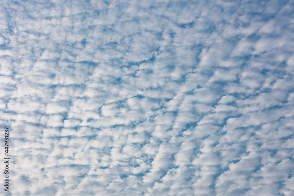 Alto cumulous clouds and a blue sky. Alto cumulous clouds and a blue sky.