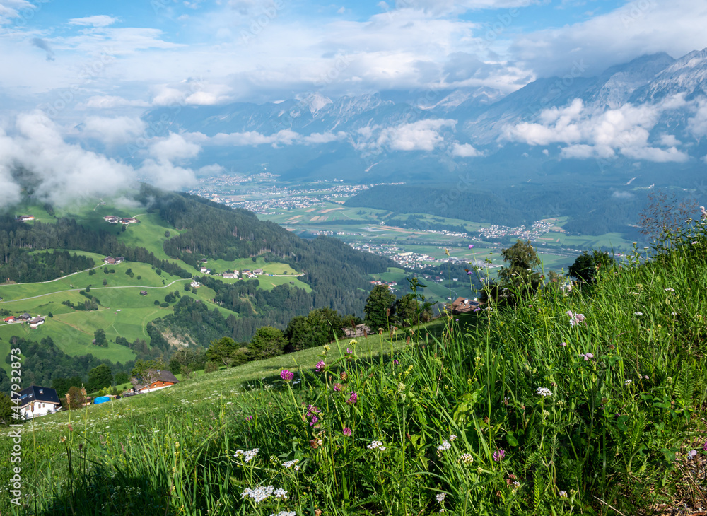 Sommerliche Wiese in den Tiroler Alpen