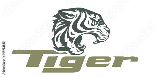 Angry tiger. Wild animal. Engraving style, Isolated on white background. Eps10 vector illustration.