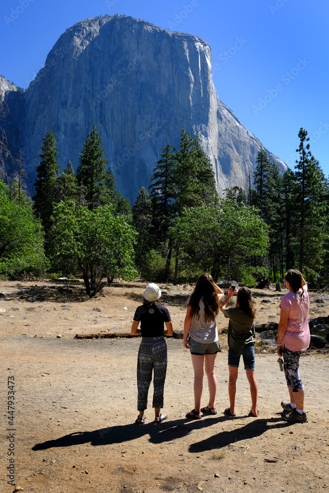 Yosemite National Park El Capitan with Pine Trees and Tourists