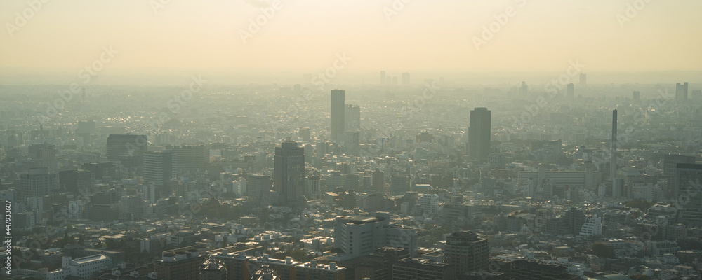 Fototapeta premium Hazy Tokyo skyline with smog and air pollution 霞のかかった東京都心の高層ビル群 大気汚染・環境問題