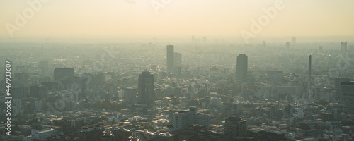 Photography Hazy Tokyo skyline with smog and air pollution 　霞のかかった東京都心の高層ビル群 大気汚染・環境問題