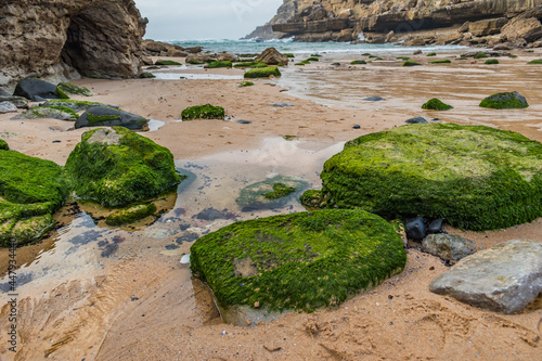 Selective focus on rock with green moss next to puddle of water at Samarra beach with blurred sea in the background, Sintra PORTUGAL