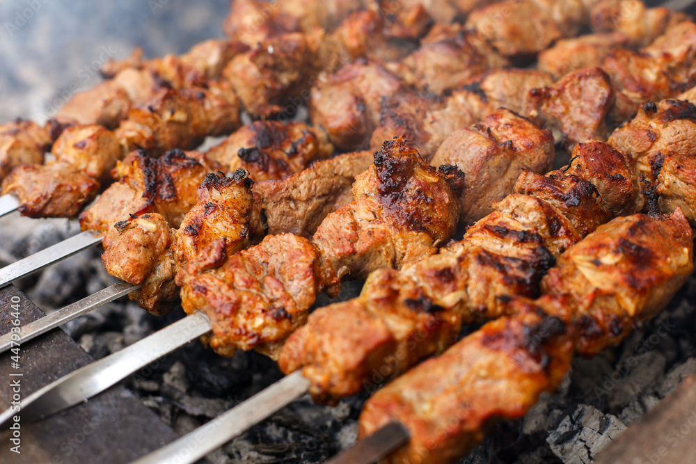 meat on the grill, skewers with meat, kebabs