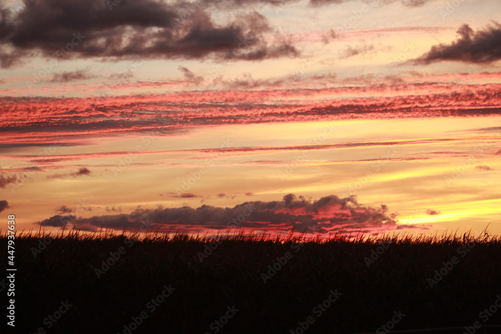 Obraz premium Red Sky