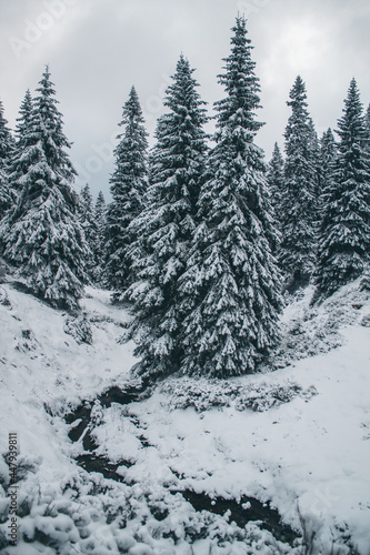Czech mountain landscape in winter