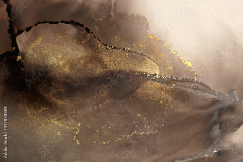 Art Abstract  watercolor marble flow blot painting. Brown and gold Color canvas texture horizontal background. Alcohol ink. Mist landscape. © Liliia
