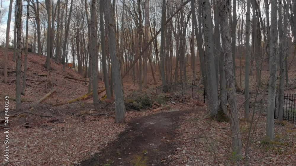 A shot of a large home pulling back through the treetops of a forest in early spring. A shot of a large home pulling back through the treetops of a forest in early spring.