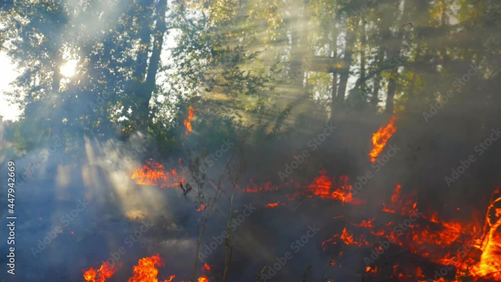 Air pollution caused by fire on dump site. Clouds of smoke above the waste land, aerial footage. Fire reasons in spring 2020. landfill fire, waste disposed of in a landfill ignites and spreads Air pollution caused by fire on dump site. Clouds of smoke above the waste land, aerial footage. Fire reasons in spring 2020. landfill fire, waste disposed of in a landfill ignites and spreads
