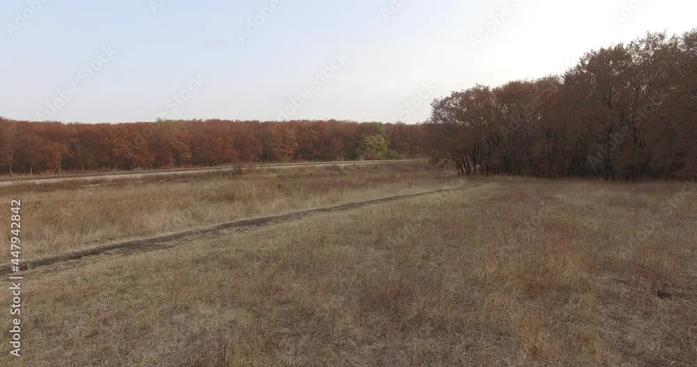 Aerial top down view of autumn forest with green and yellow trees. City Park. Stavropol. Caucasus. Aerial top down view of autumn forest with green and yellow trees. City Park. Stavropol. Caucasus.